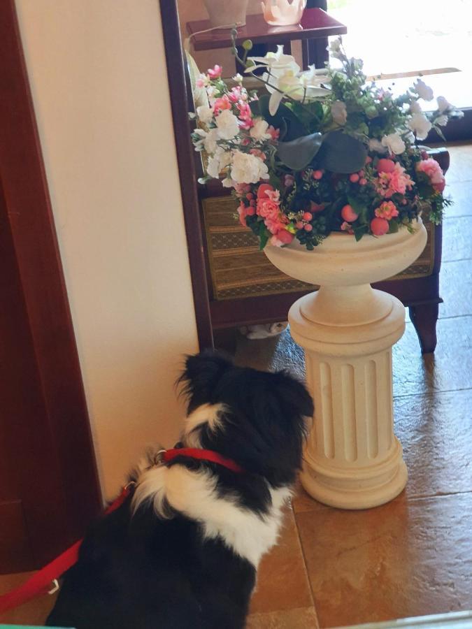 Griko Country Hotel Лече Екстериор снимка